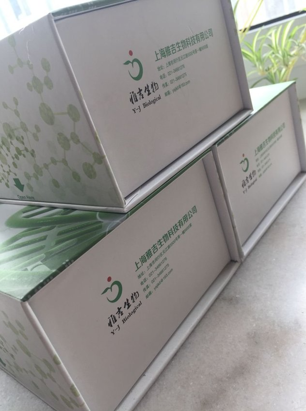 Elisa試劑盒如何分類