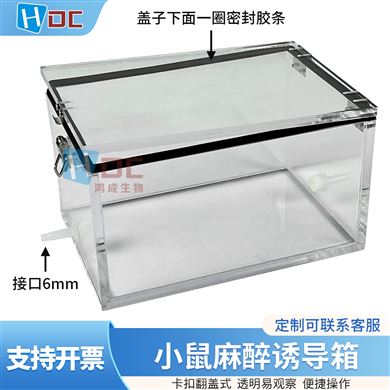 YDX小鼠麻醉诱导箱