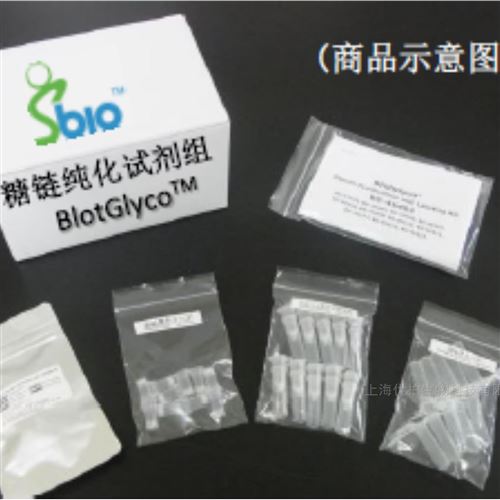 N糖鏈標(biāo)定試劑組（N糖鏈純化試劑盒）