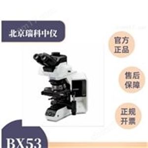 奥林巴斯BX53 研究级 正置生物显微镜