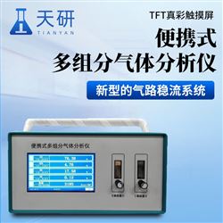 便攜式多組分氣體分析儀