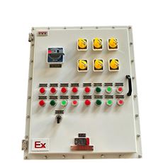 粉尘防爆环境用照明动力控制配电箱