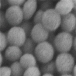 二氧化硅包覆金纳米颗粒