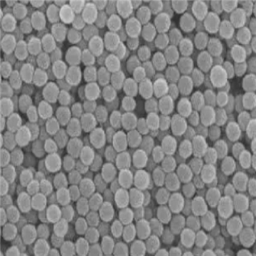 中空介孔聚多巴胺纳米颗粒