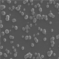 CuCo 双金属有机框架纳米颗粒