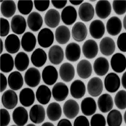 CTAB-AuNPs，CTAB修飾金納米顆粒