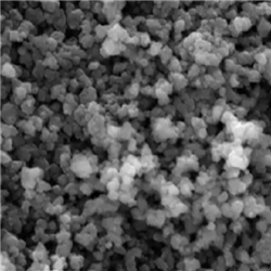 MnO2 NPs，二氧化锰纳米颗粒