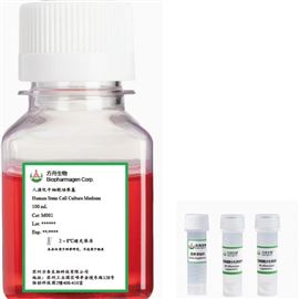 巨核細胞/血小板誘導分化試劑盒