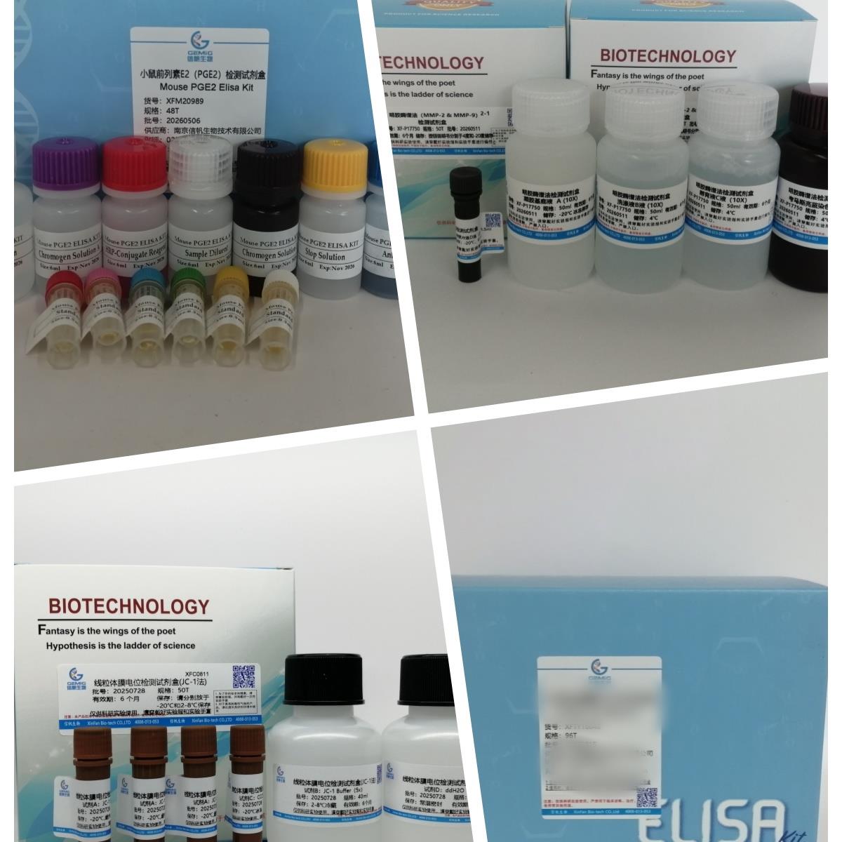 大鼠绒毛膜促性腺激素β肽(CGβ)elisa试剂盒
