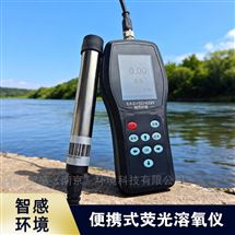 便携溶氧仪 水产养殖鱼塘DO测定仪