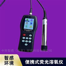 便携DO分析仪 水产鱼塘含氧量测氧仪