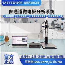 亞毫米級(jí)檢測微電極分析系統(tǒng)