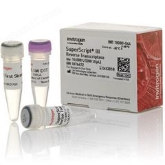 Thermo賽默飛SuperScriptIII一鏈合成試劑18080051