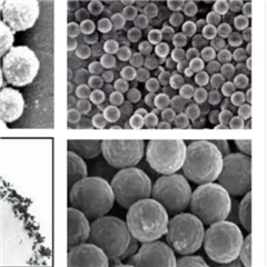 RCP-30-5ASPHERO彩虹校准微球