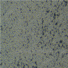 YS5888C人黑色素瘤細胞MMAc·SF