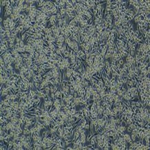 YS5794C人黑色素瘤細胞Hs 940.T