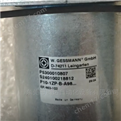 D-74211德國GESSMANN腳踏手柄捷斯曼