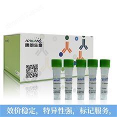 豬圓環(huán)病毒1型染料法熒光定量PCR試劑盒