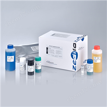 Microbial Transglutaminase (MTG) ELISA