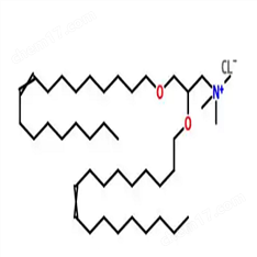 cas：104872-42-6，順反DOTMA-CL