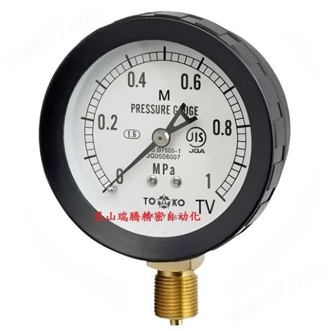 蒸氣用耐震壓力表TV-BL-AMT-3/8G-75x1MPa