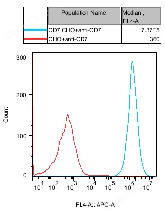 CD7 CHO