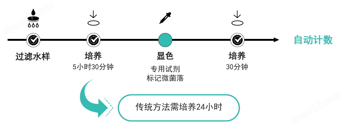 E. coli大腸埃希氏菌檢測微菌落計數系統