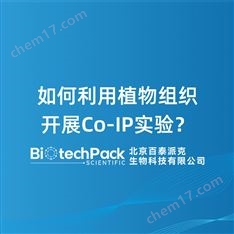 如何利用植物組織開展Co-IP實驗？