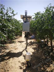 作物需水測量儀/灌溉指導(dǎo)器