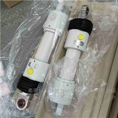 Storz液壓缸ZBD 1611系列