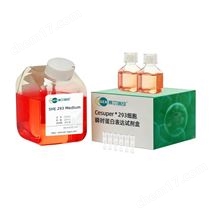 原核表達系統丨大腸桿菌E.coli蛋白表達服務