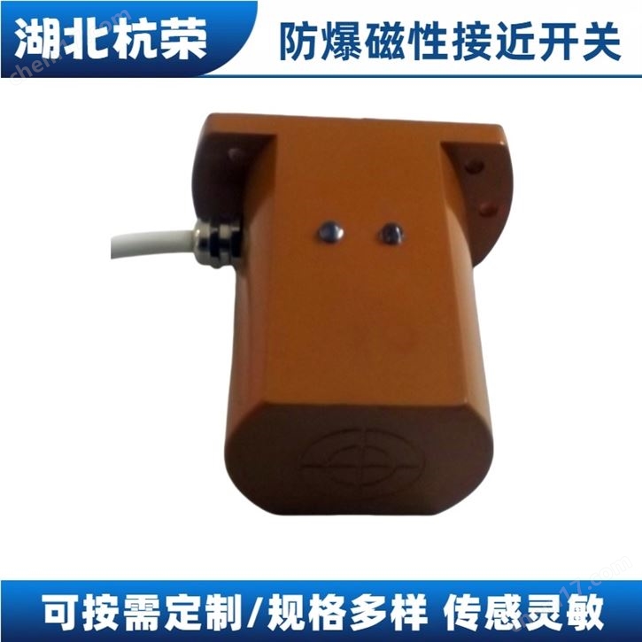 礦用磁感應(yīng)開(kāi)關(guān)TK-2井筒開(kāi)關(guān)