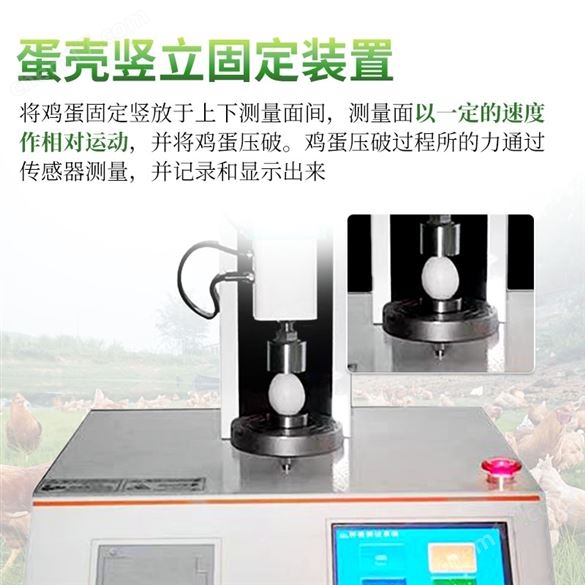 蛋殼強(qiáng)度測(cè)定儀