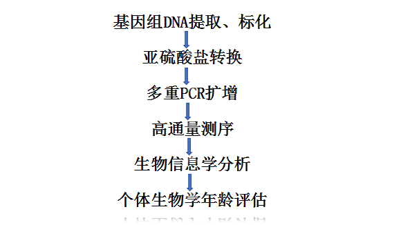 图片1.png