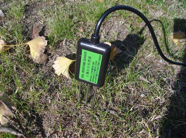 soil temperature sensot.jpg