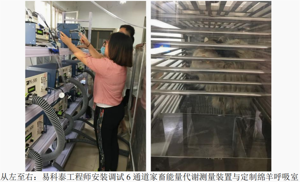 祝賀第五屆幼齡草食動(dòng)物國際研討會(huì)成功舉辦