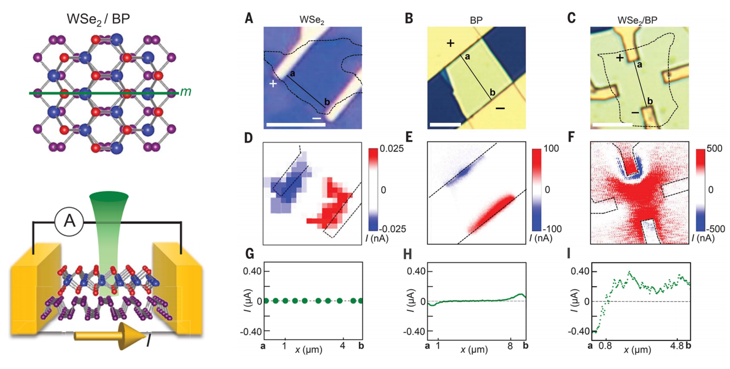 扫描光电流成像系统应用