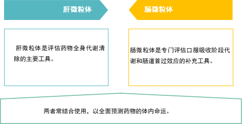 腸微粒體 1-4.png 腸微粒體 1-4.png