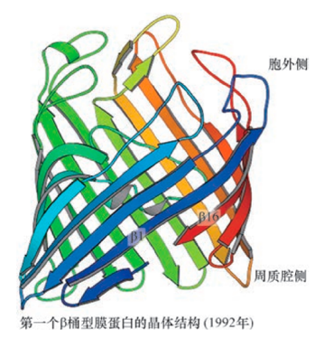膜蛋白表达成功率接近100%?无细胞系统破解膜蛋白“表达魔<font class=