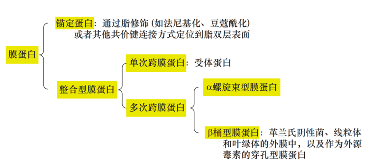 膜蛋白表达成功率接近100%?无细胞系统破解膜蛋白“表达魔<font class=