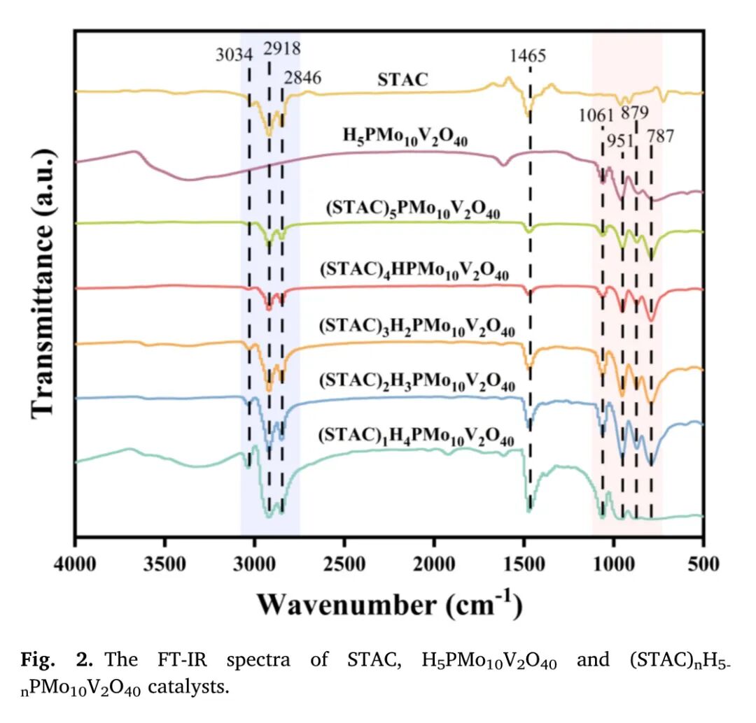 东北师大王宪泽携岩征反应釜，在IJBM期刊发表废弃生物质资源化方向论文