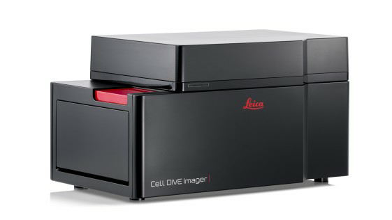 顯微課堂 | 人工智能驅動的乳腺癌研究多重染色成像空間分析工具