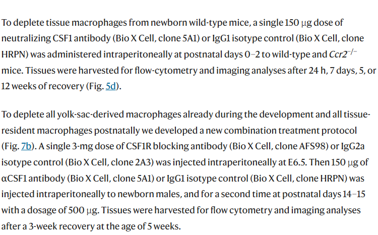 image.png 睾丸发育过程中巨噬细胞的产生、定位及功能