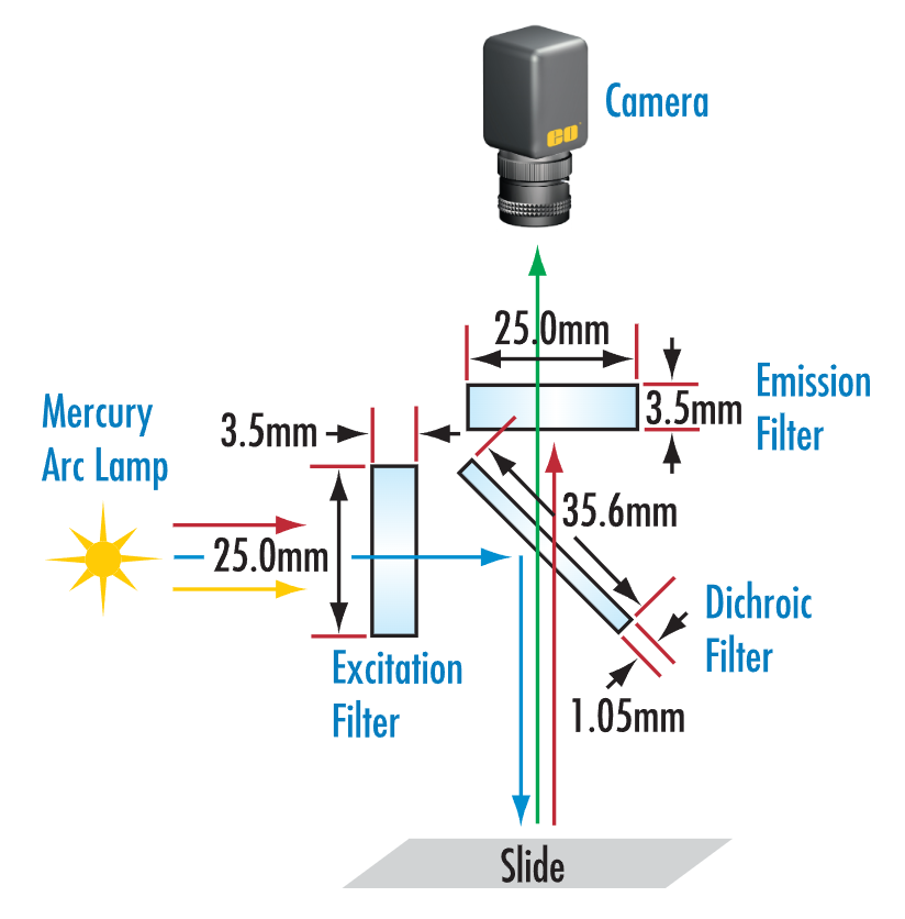过滤光噪声、提升信号——荧光滤光片选型实战指南