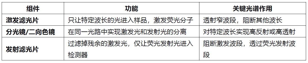 过滤光噪声、提升信号——荧光滤光片选型实战指南