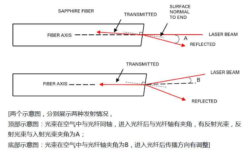 耐高溫、抗腐蝕還超柔韌？這款“全能型