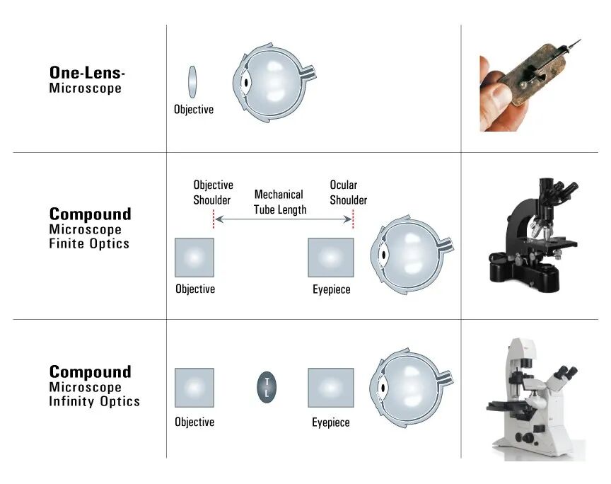 顯微課堂 | 無限遠光學系統