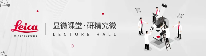 2b85c53f-189d-4316-a2ab-7a77eceee238.png 显微课堂 | 颌面整形与重建手术中的优良可视化技术