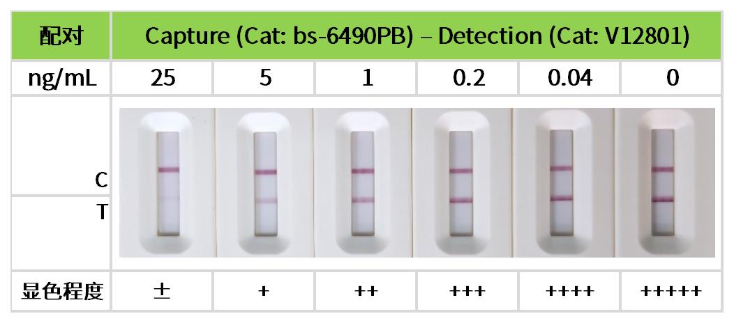 工作簿1_12.jpg 重點推薦 | 藥物小分子檢測相關配對抗體!