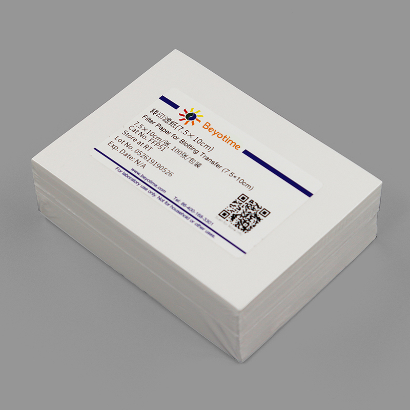 碧云天生物Beyotime代理商 2026授權(quán)代理-上海起發(fā)